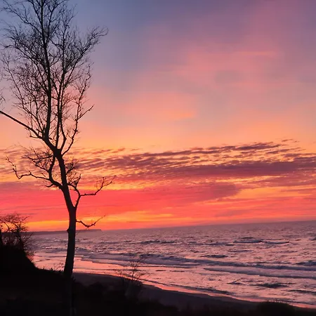 Quiet 코워브제크